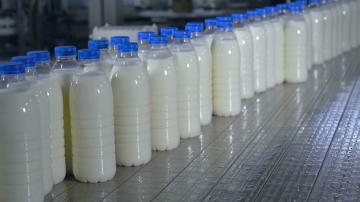 Ceea ce face cu adevărat laptele? Spune cum de a distinge un fals