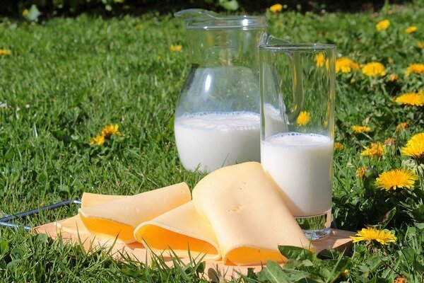 Copiii se servesc cel mai bine atât cu lapte, cât și cu brânză (Foto: Pixabay.com) 