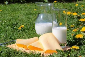 TOP 8 mituri principale despre lapte