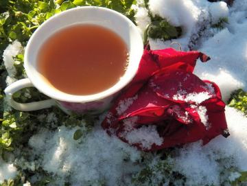 Ceaiul facut din petale de trandafir