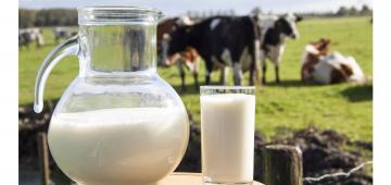 Ca pasteurizat acasă lapte proaspăt. 3 metodă dovedită