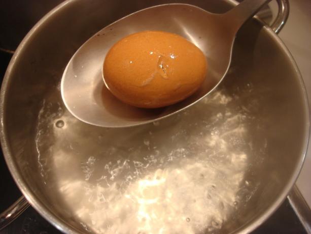 Imagine luată de autor (dip ou în tigaie unsa)