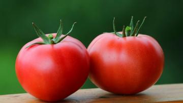 Tomate: subțierea sângelui, hipertensiune cura, diabet, si chiar oncologie