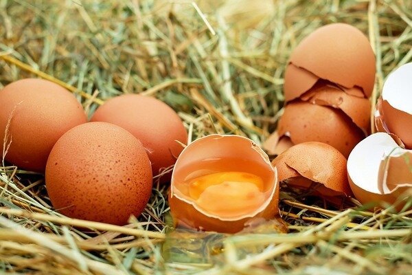 Ouăle nu trebuie consumate proaspete, deoarece acest lucru amenință apariția paraziților în organism (foto: Pixabay.com)