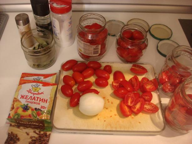 Imagine luată de autor (tomate, ceapă și condimente)