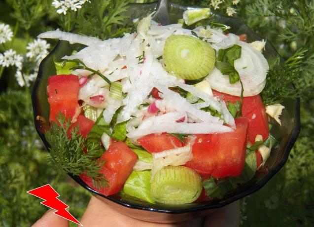 Versiunea propusă de salata foarte ektraktiven și este potrivit doar pentru oamenii sănătoși, așa că a se vedea pentru tine care produsele sunt sau nu merg în cazul dumneavoastră și de a regla salata, eliminarea necorespunzătoare componente.