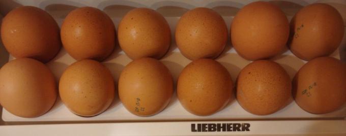 Imagine luată de autor (ouă în frigiderul meu)