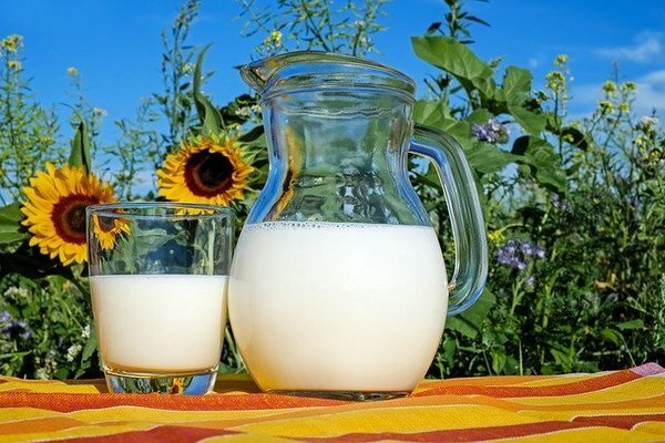 Mai bine să cumpărați lapte de la fermele private (Foto: pixabay.com)