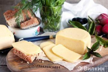 Brânză de casă făcută din brânză de vaci și lapte