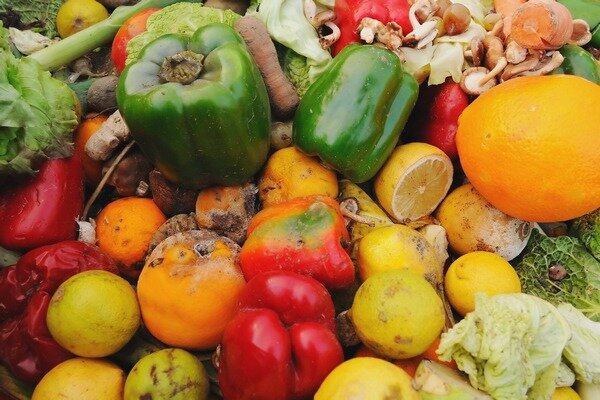 Fructele și legumele putrede nu sunt cea mai bună alegere pentru cusătură. (Foto: nycfoodpolicy.org)