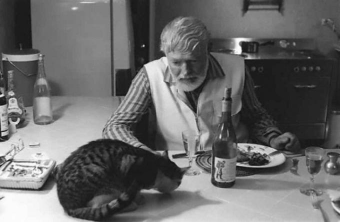 Ernest Hemingway a cina cu pisica.