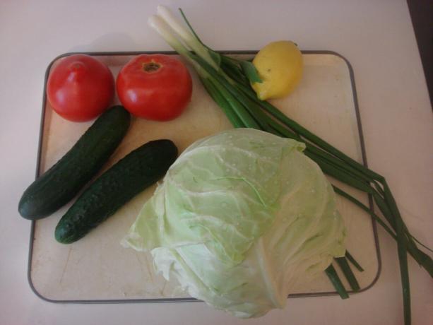 Imagine luată de autor (ingredientele principale ale salata de legume)